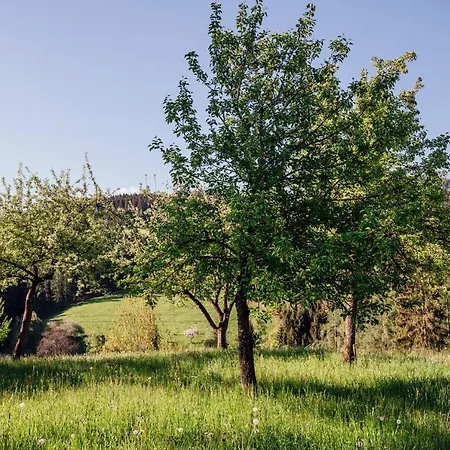 Doerfl In Der Strass Tatil Evi *