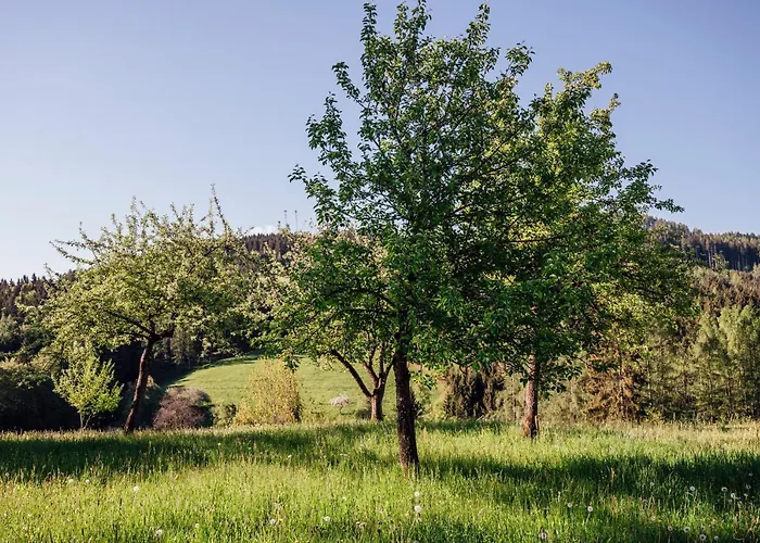 Doerfl In Der Strass Дом отдыха *
